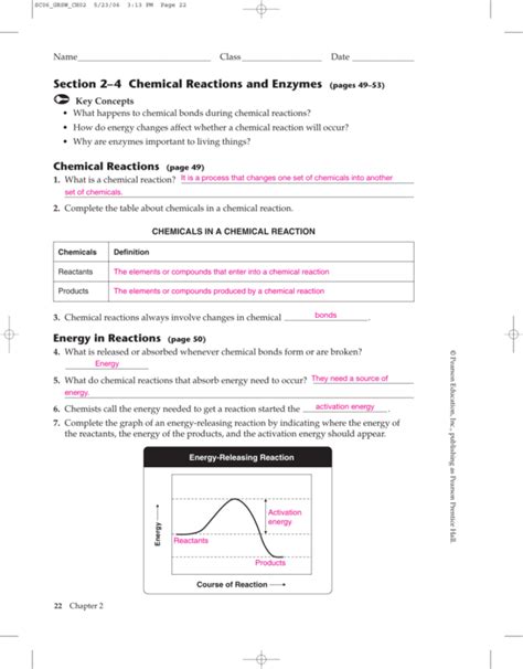 2 4 Chemical Reactions And Enzymes Worksheet Answers